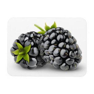 Two blackberries magnet