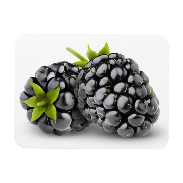 Two blackberries magnet (Horizontal)