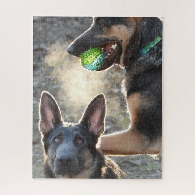 Two Blue German Shepherds playing with Ball Jigsaw Puzzle (Vertical)