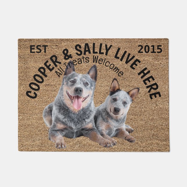 Two Blue Heelers Personalised Dog Lover   Doormat (Front)