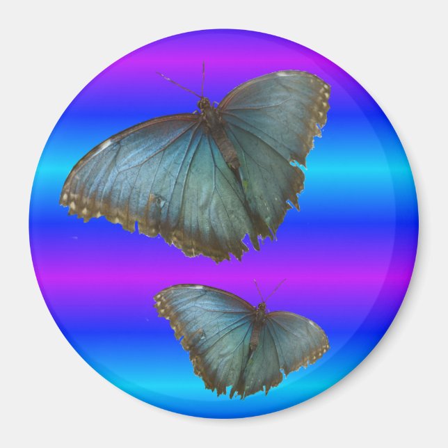 Two Blue Morpho Butterflies Blue Neon Magnet (Front)
