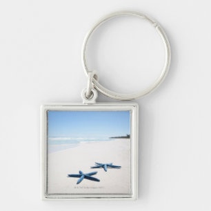 Two blue starfish at water's edge on tropical 2 key ring