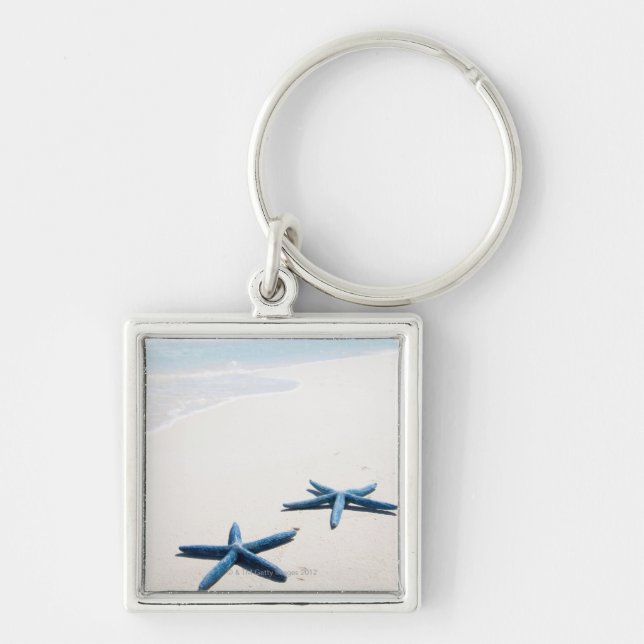 Two blue starfish at water's edge on tropical key ring (Front)