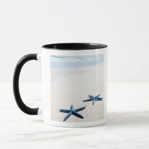 Two blue starfish at water's edge on tropical mug