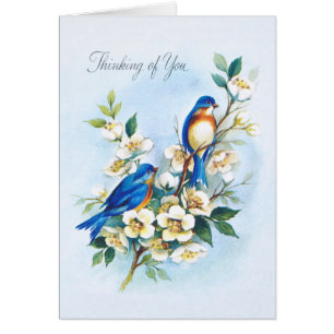 Two Bluebirds