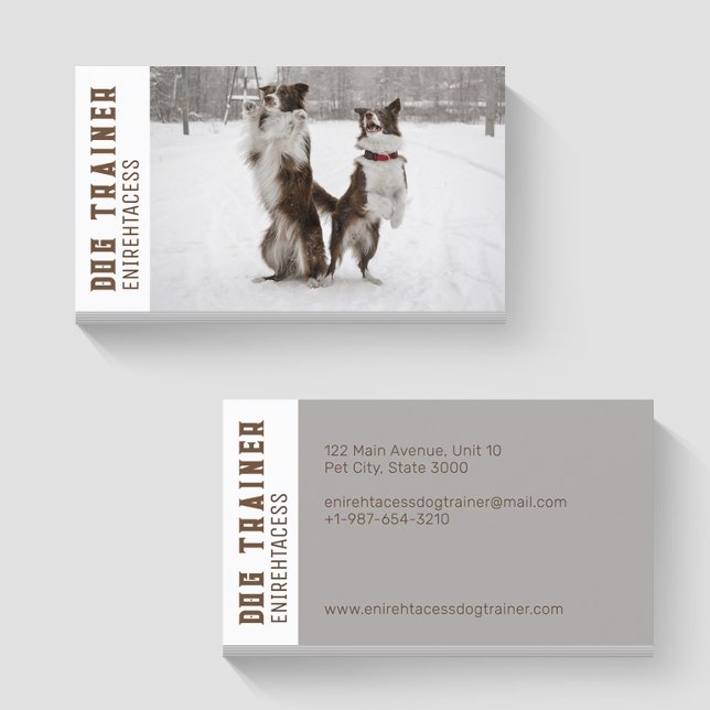 Two Border Collies Dog Trainer Business Card (Creator Uploaded)