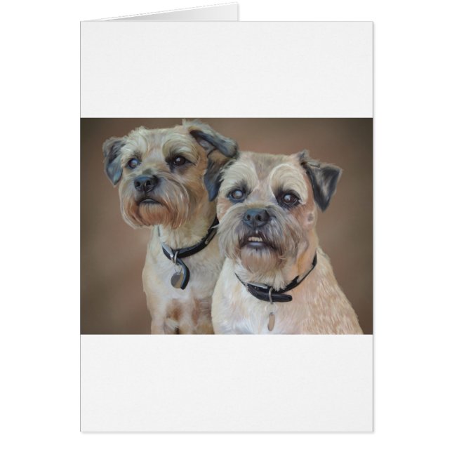 Two Border terriers (Front)
