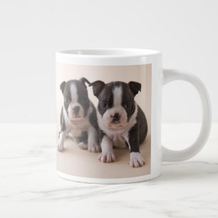 Two Boston Terrier Puppies Large Coffee Mug