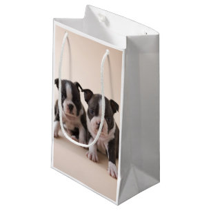 Two Boston Terrier Puppies Small Gift Bag