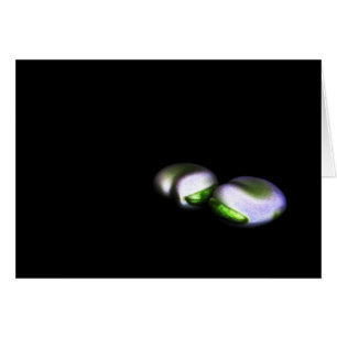 Two Broad Beans gccna