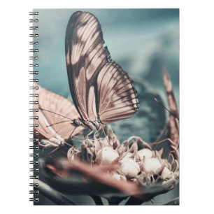 TWO BROWN-AND-BLACK BUTTERFLIES ON TOP OF FLOWER B NOTEBOOK