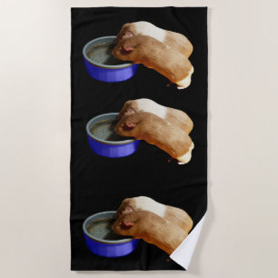 Two Brown And White Guinea Pigs,  Beach Towel