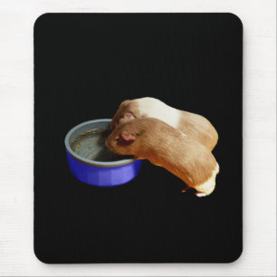 Two Brown And White Guinea Pigs,  Mouse Pad