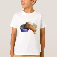 Two Brown And White Smooth Hair Guinea Pigs,