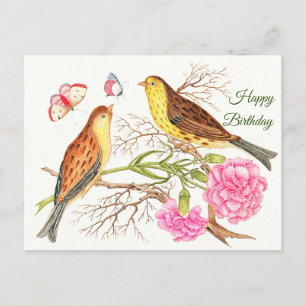 Two brown and yellow birds on branches, Birthday Postcard