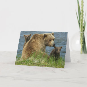 Two Brown Bear Cubs with Mother by the Water Card