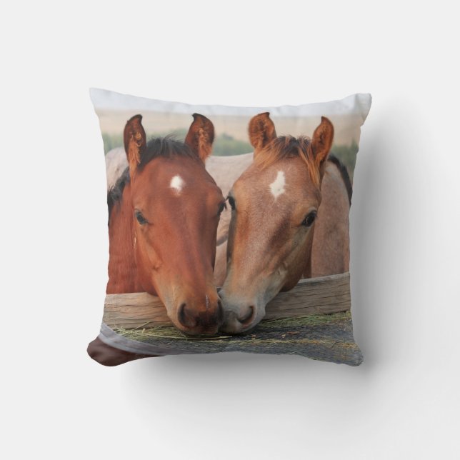 Two Brown Horses on a Farm Photo Pillow (Front)