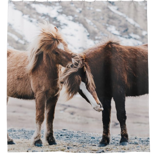 TWO BROWN HORSES ON FIELD SHOWER CURTAIN (Front)