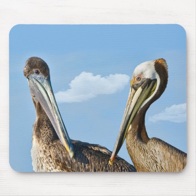 Two Brown Pelicans Mousepad (Front)
