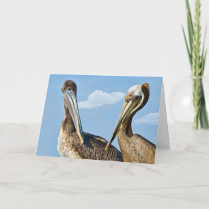 Two Brown Pelicans Note or Greeting Card