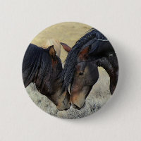 Two Brown Wild Horses Nuzzling
