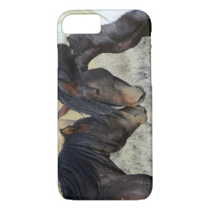 Two Brown Wild Horses Nuzzling iPhone 8/7 Case