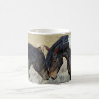 Two Brown Wild Horses Nuzzling