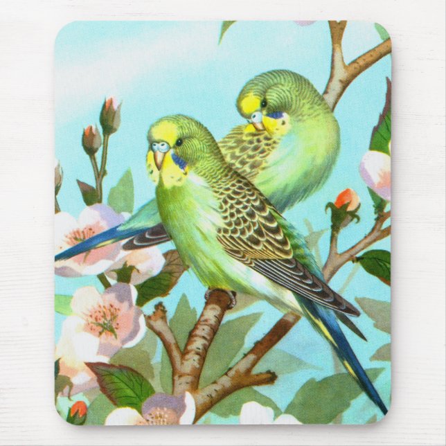 Two budgerigars mouse pad (Front)