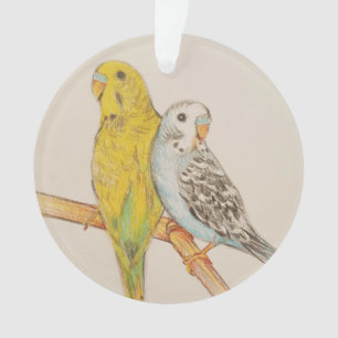 TWO BUDGIES BIRD HAND DRAWING COLORED PENCILS ORNAMENT