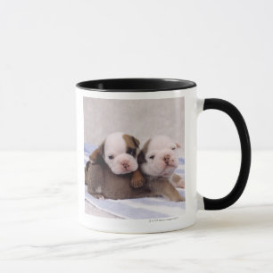 Two bulldog puppies on towel mug