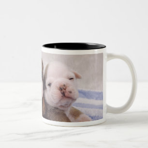 Two bulldog puppies on towel Two-Tone coffee mug