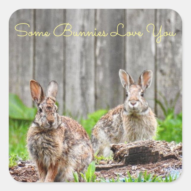 Two Bunnies, Some Bunnies Love You *personalise* Square Sticker (Front)