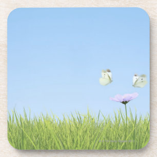 Two butterflies hovering over flower coaster