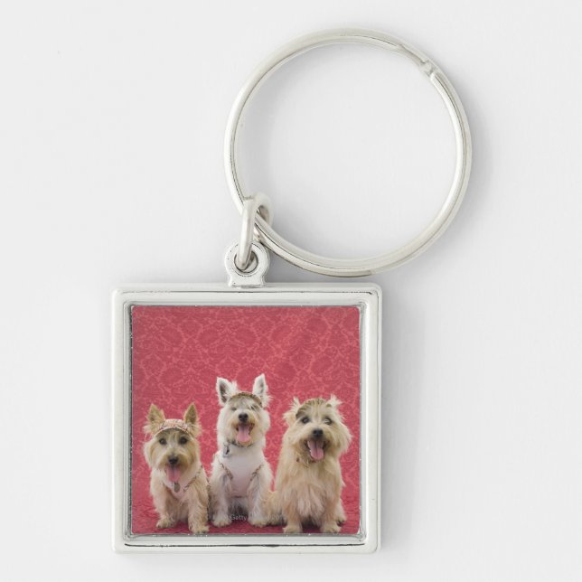 Two cairin terriers and one westie key ring (Front)