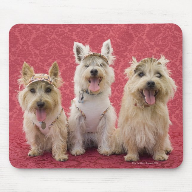 Two cairin terriers and one westie mouse pad (Front)