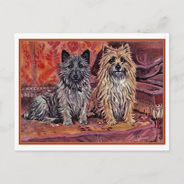 Two Cairn Terriers Postcard (Front)