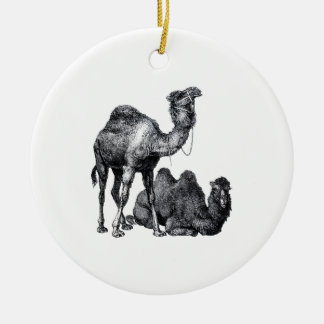 Two camels One standing One lying down drawing Ceramic Ornament