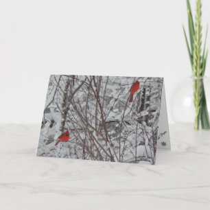 Two Cardinals 5x7 Christmas Card