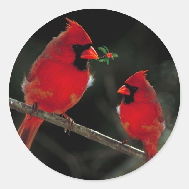 Two Cardinals Christmas Envelope Seals Stickers (Front)