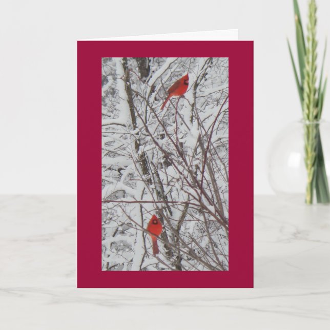 Two Cardinals Red Border 5x7 Christmas Card (Front)