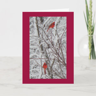 Two Cardinals Red Border 5x7 Christmas Card