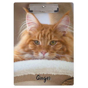 Two Cat Photo Clipboard