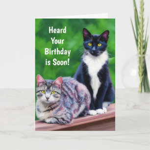 Two Cats Birthday Art Cat Lover Pun Fun Card