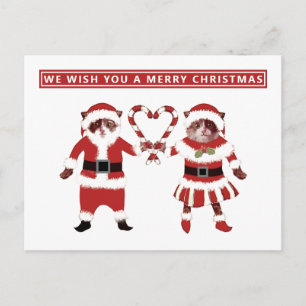 Two Cats Christmas Holiday Postcards