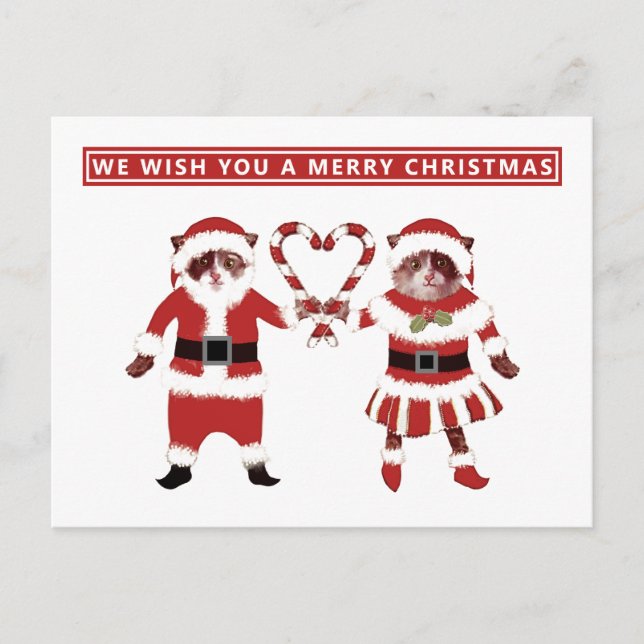 Two Cats Christmas Postcards (Front)