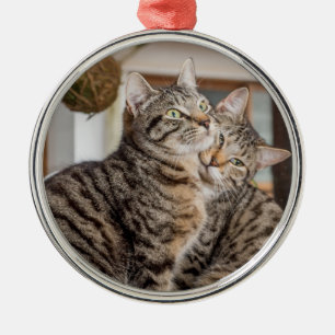 Two cats hugging metal ornament