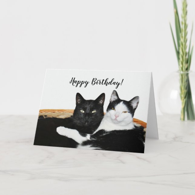 Two Cats in Love Card (Front)