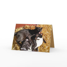 Two Cats in Love Greeting Card
