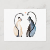 Two Cats in Love
