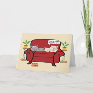 Two Cats On Chair Humour Birthday Card